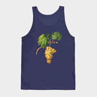 Vintage Botanical Illustration - Grape Vine 009 Tank Top